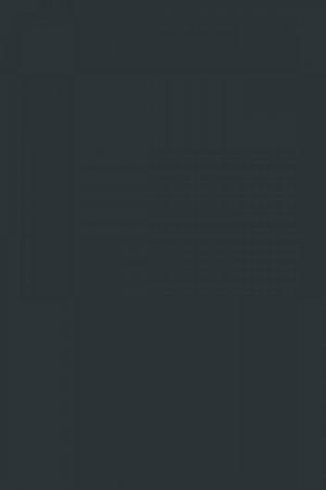 FARROW AND BALL HAGUE BLUE NO. 30 PAINT